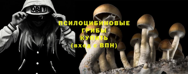 крисы Зеленодольск