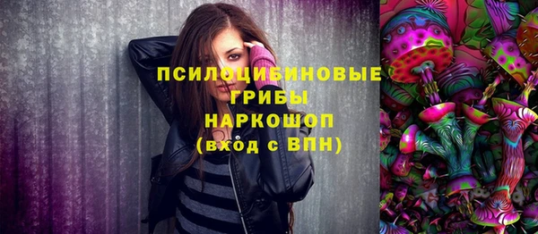 крисы Зеленодольск