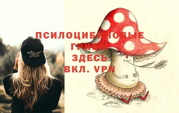 крисы Зеленодольск
