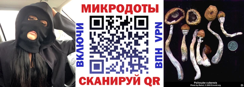 Псилоцибиновые грибы Cubensis  Рассказово 
