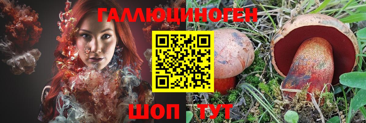 купить закладку  Вход с VPN  Рассказово  Псилоцибиновые грибы MAGIC MUSHROOMS 