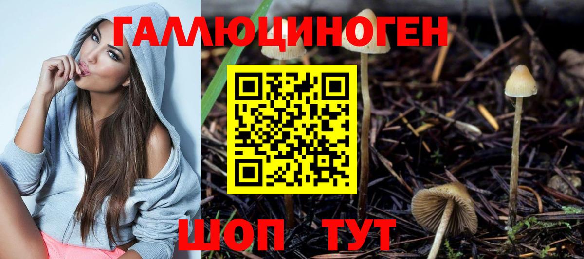 Галлюциногенные грибы GOLDEN TEACHER Рассказово